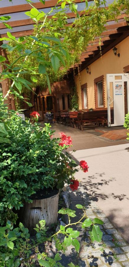 Hotel Siedlisko Pod Debem Wilimy Exteriér fotografie