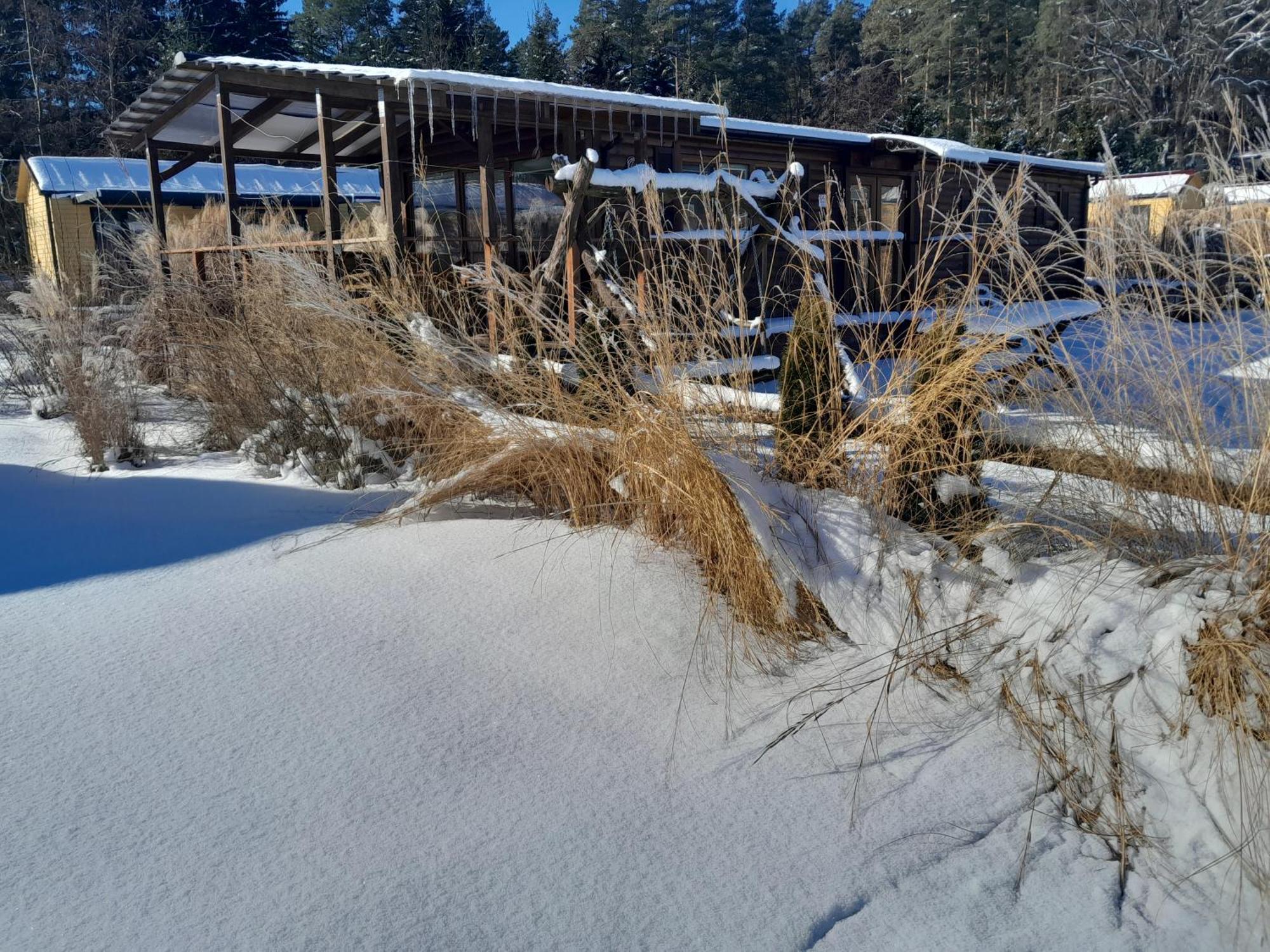 Hotel Siedlisko Pod Debem Wilimy Exteriér fotografie